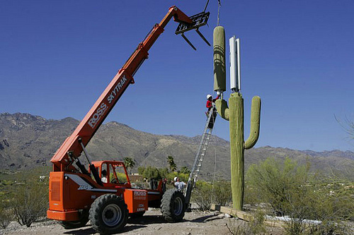 cell-phone-tower-disguised-as-a-cactus-1
