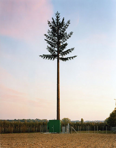 cell-phone-tower-disguised-as-a-tree-3