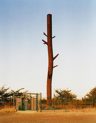 cell-phone-tower-tree-trunk