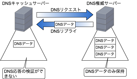 通常のDNS