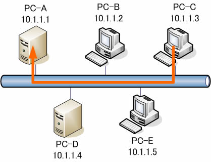 arp